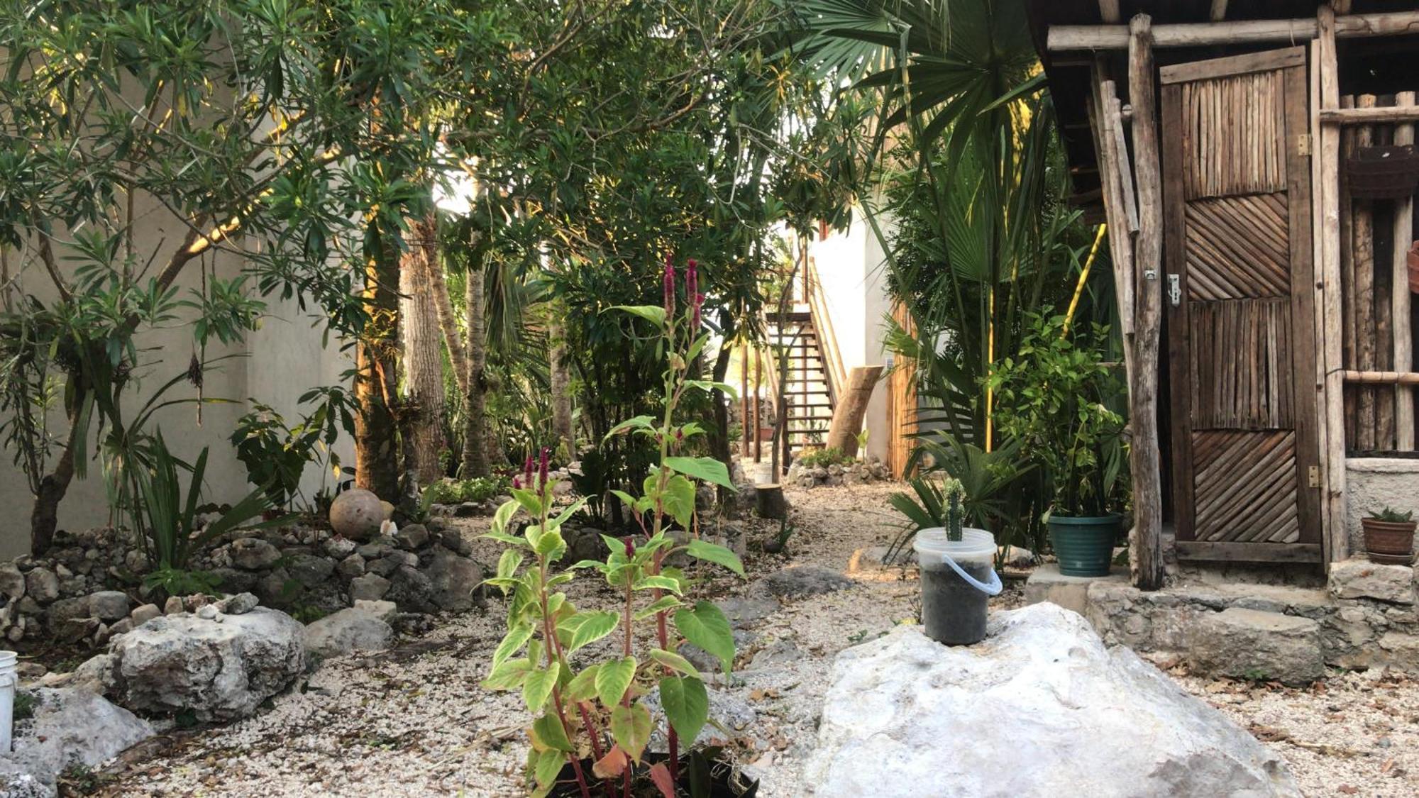 מלון Casa Ik En Cobá מראה חיצוני תמונה